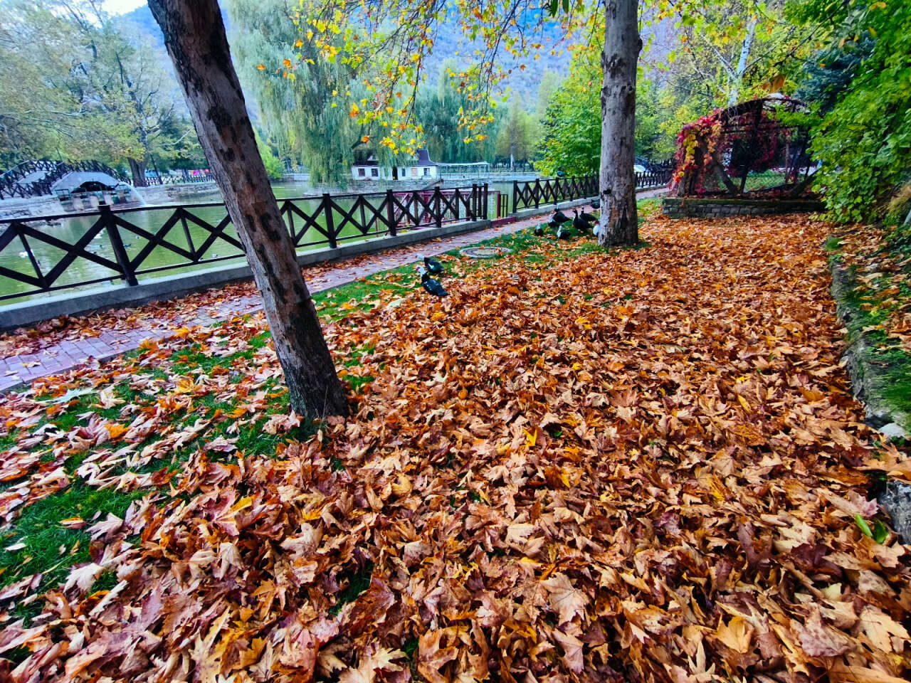 Konya’nın cennet köşesi sonbahar renkleriyle büyülüyor 3